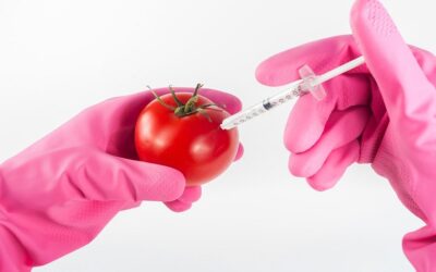US looking for technical cooperation with FSSAI on non-GM products